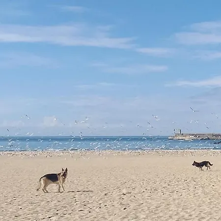 Maria Do Mar_as Tres Marias Matosinhos (Porto)